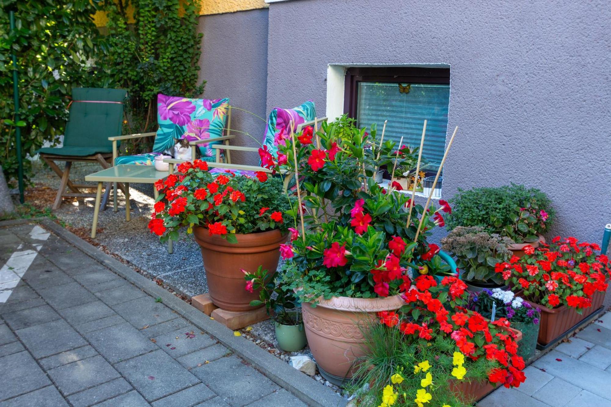 Apartment Benjamins Refugium *